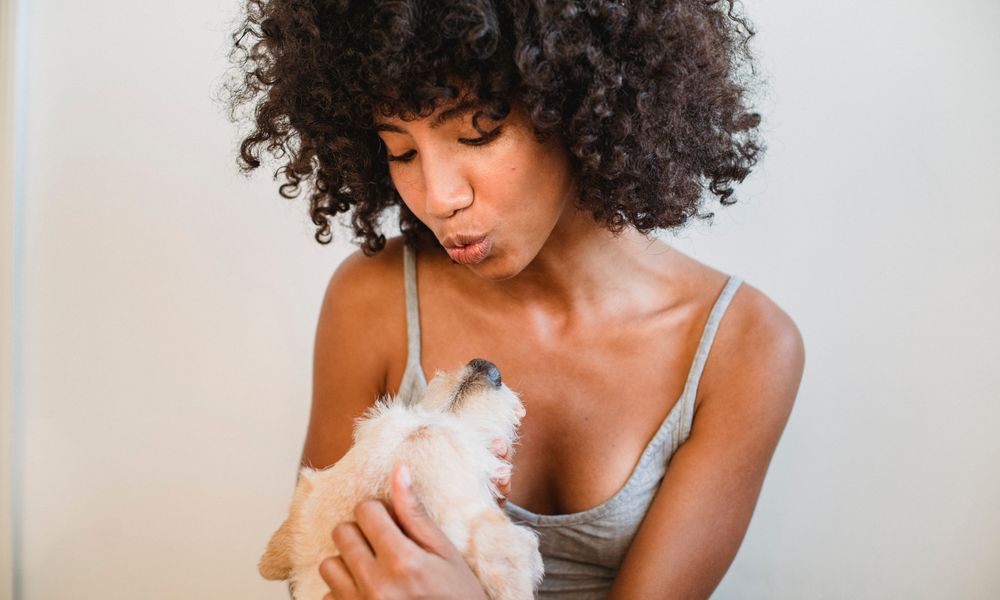 子犬を抱きかかえる人